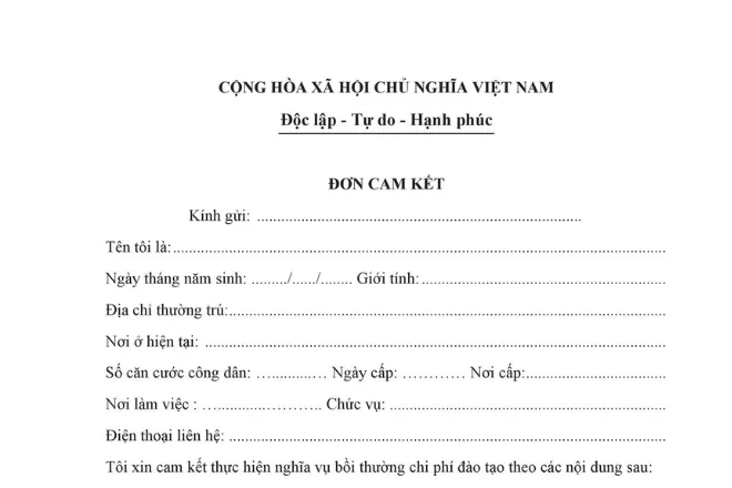 Mẫu bản cam kết