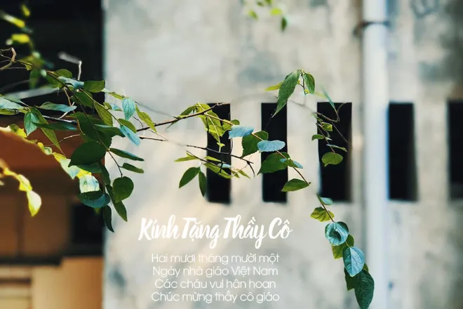 thơ về thầy cô giáo tự sáng tác