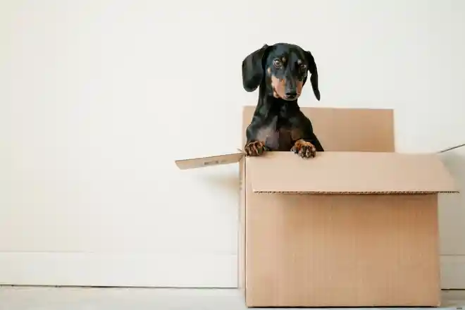 Dịch vụ chuyển nhà trọn gói giá rẻ - giải pháp an tâm và tiết kiệm