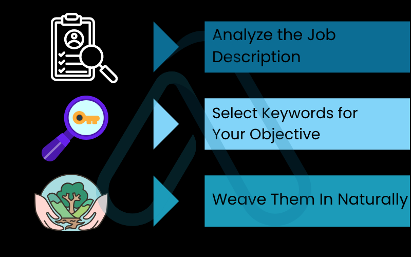 3-step process to optimize your objective for any ATS 3-step process to optimize your objective for any ATS