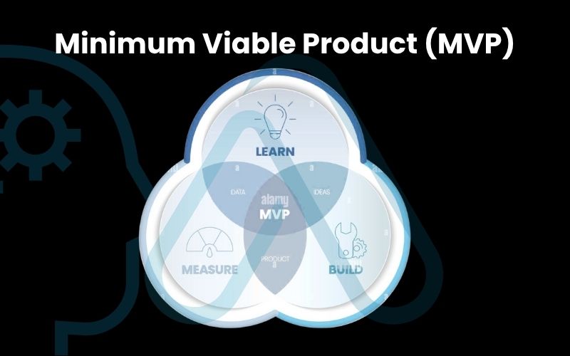 Minimum Viable Product (MVP) Minimum Viable Product (MVP)