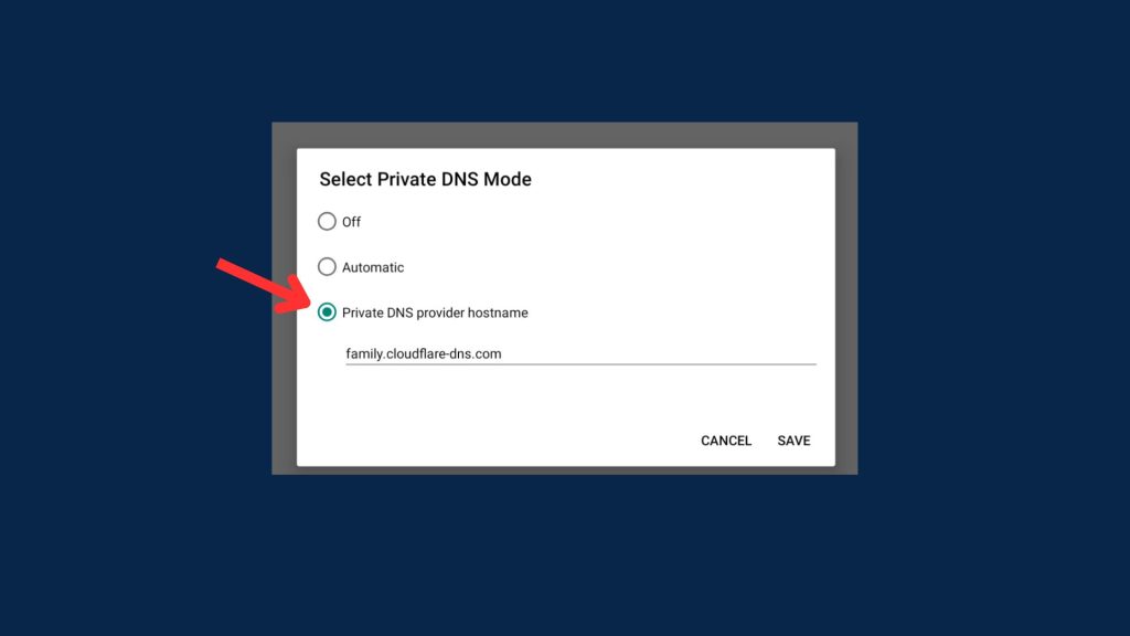 Private DNS provider hostname