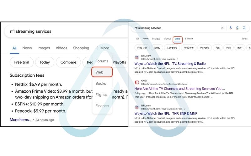 Using the 'Web' filter for classic results Using the 'Web' filter for classic results