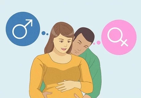 How to calculate to have a boy or girl based on the parents' age, one shot at the target